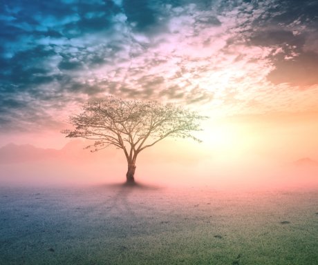 Spirituele stervensbegeleiding