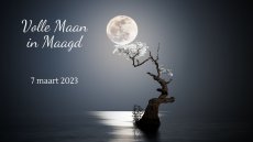 Volle maan in Maagd - 7 maart 2023